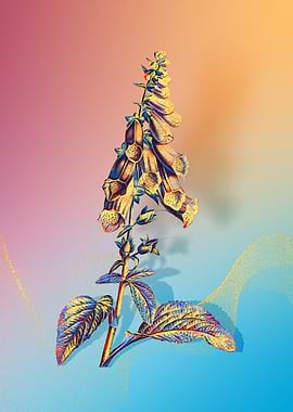 Prismatic Foxglove Flowers