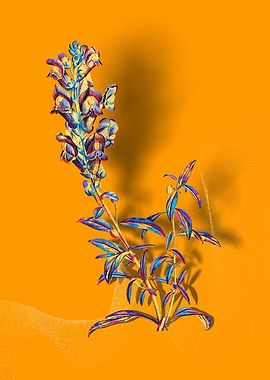 Prismatic Dragon Flowers