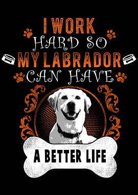 Labrador Dog