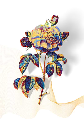 Prismatic French Rose