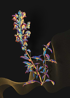 Prismatic Dragon Flowers