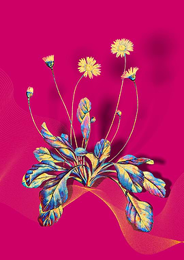 Prismatic Daisy Flowers