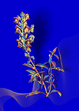 Prismatic Dragon Flowers