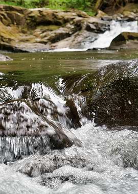 Sweet Creek Waterfall