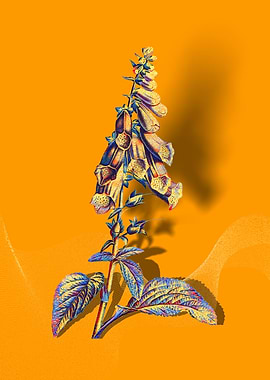 Prismatic Foxglove Flowers