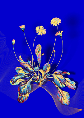 Prismatic Daisy Flowers