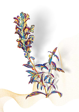 Prismatic Dragon Flowers