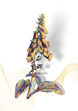 Prismatic Foxglove Flowers