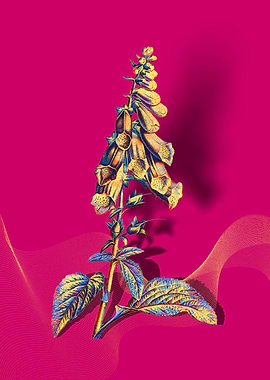 Prismatic Foxglove Flowers