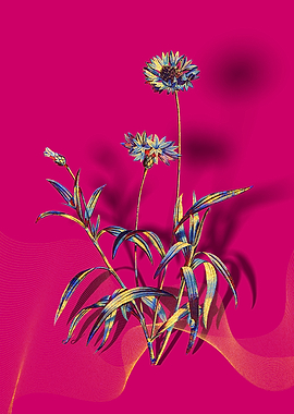 Prismatic Blue Cornflowers