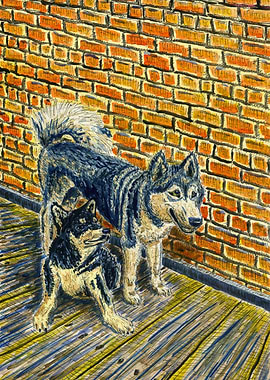 Husky Dog With Puppy