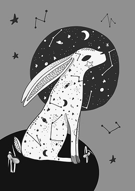 Moon Gazing Hare
