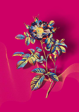 Prismatic Portland Rose