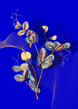 Prismatic Pea Flower