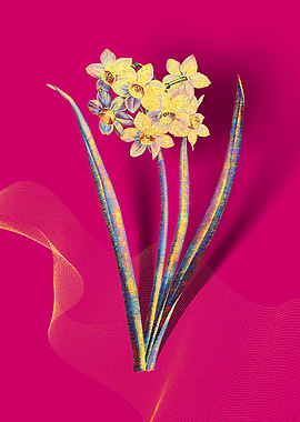 Prismatic Narcissus Flower