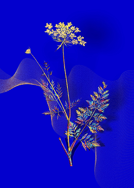 Prismatic Lace Flower