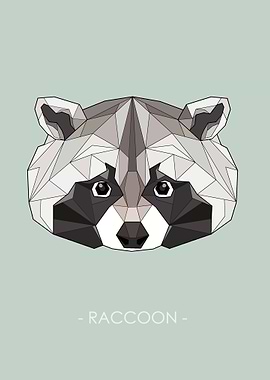 RACCOON