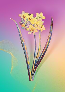 Prismatic Narcissus Flower