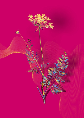 Prismatic Lace Flower