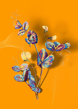 Prismatic Pea Flower