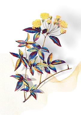 Prismatic Lady Banks Rose