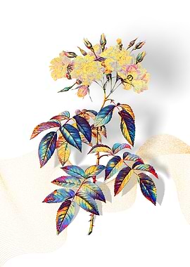 Prismatic Musk Roses