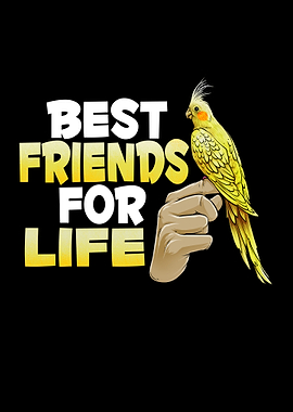 Cockatiel Budgie Bird