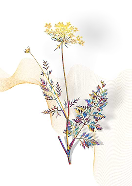 Prismatic Lace Flower