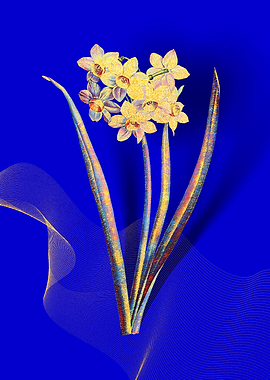 Prismatic Narcissus Flower