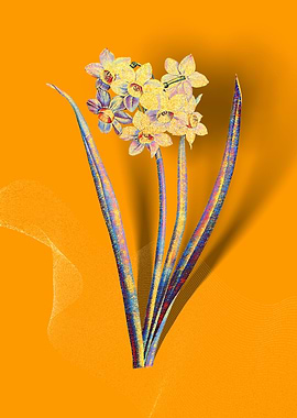 Prismatic Narcissus Flower