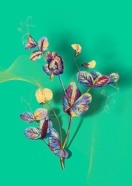 Prismatic Pea Flower