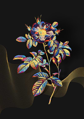 Prismatic Portland Rose