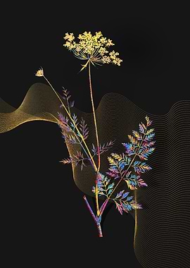 Prismatic Lace Flower