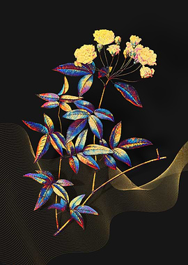 Prismatic Lady Banks Rose