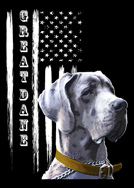 Great Dane Dog