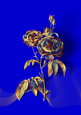 Prismatic Purple Roses