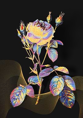 Prismatic Rose Bush