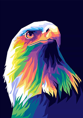 Eagle Beautiful Color