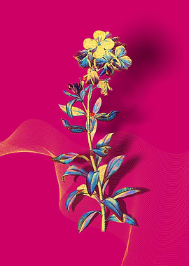 Prismatic Yellow Wallflowe