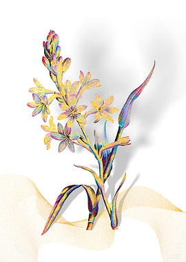 Prismatic Tuberose Flowers
