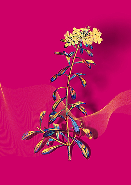 Prismatic White Flowers