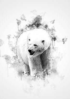 Polar Bear Black and White