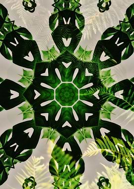 Nature Abstract Pattern