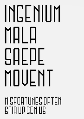 Misfortunes Stir Up Genius