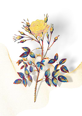 Prismatic Rose Rosenberg