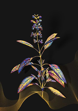 Prismatic Sage Plant