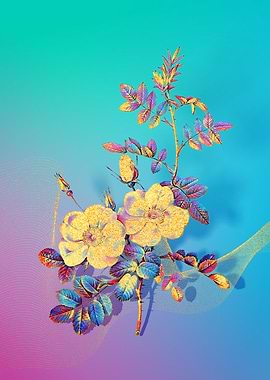 Prismatic Sweetbriar Roses