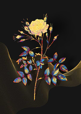 Prismatic Rose Rosenberg