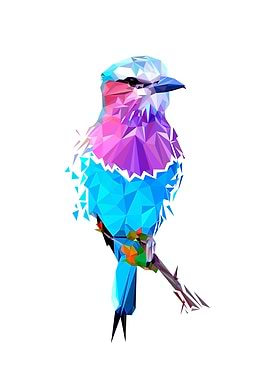 Bird Geometric