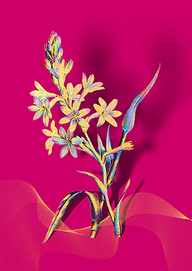 Prismatic Tuberose Flowers